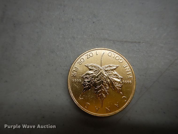 image for item KS9849 (2) 2011 Canadian $50 one ounce fine gold coins