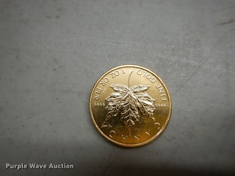 image for item KS9850 (3) Canadian $50 one ounce fine gold coins