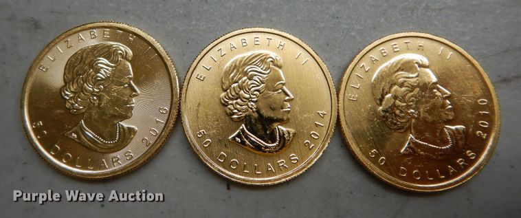 image for item KS9851 (3) Canadian $50 one ounce fine gold coins