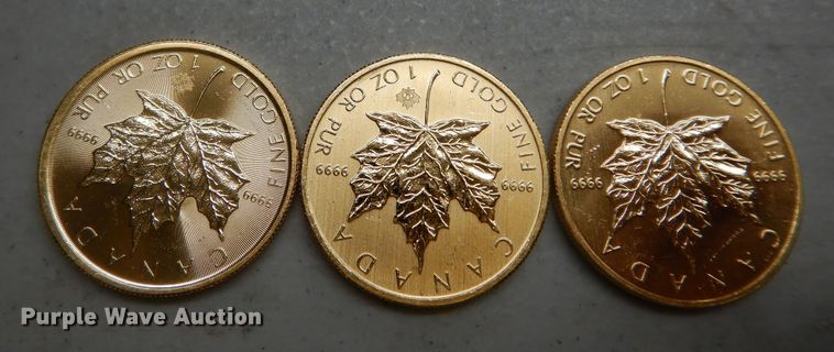 image for item KS9851 (3) Canadian $50 one ounce fine gold coins