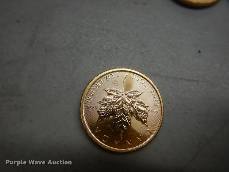 image for item KS9851 (3) Canadian $50 one ounce fine gold coins