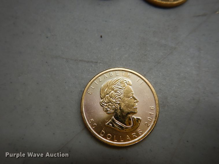 image for item KS9851 (3) Canadian $50 one ounce fine gold coins