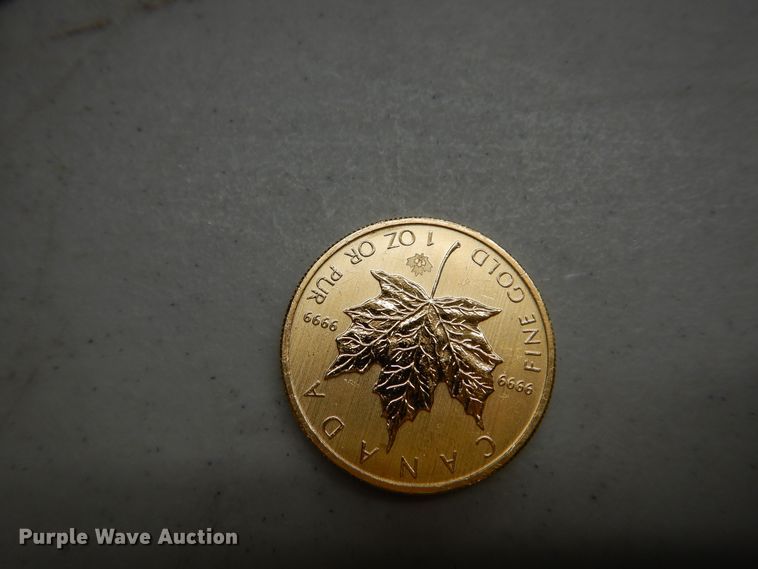 image for item KS9851 (3) Canadian $50 one ounce fine gold coins