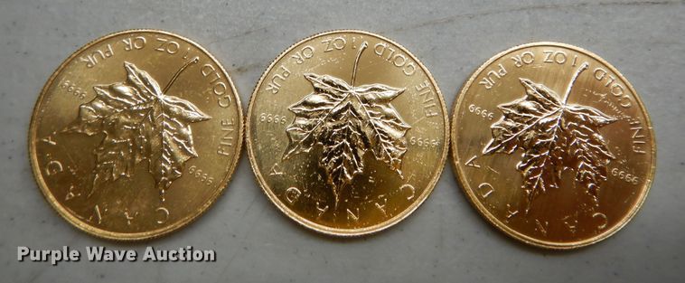 image for item KS9852 (3) 1983 Canadian $50 one ounce fine gold coins