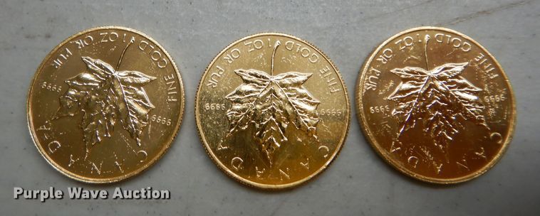 image for item KS9853 (3) 1983 Canadian $50 one ounce fine gold coins