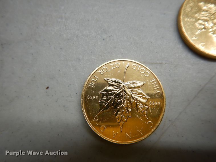 image for item KS9853 (3) 1983 Canadian $50 one ounce fine gold coins