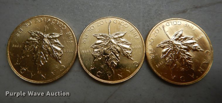 image for item KS9854 (3) 1983 Canadian $50 one ounce fine gold coins