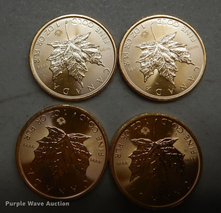 image for item KS9860 (4) 2017 Canadian $50 one ounce fine gold coins