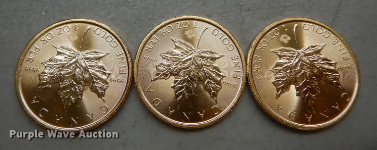 image for item KS9865 (3) 2017 Canadian $50 one ounce fine gold coins