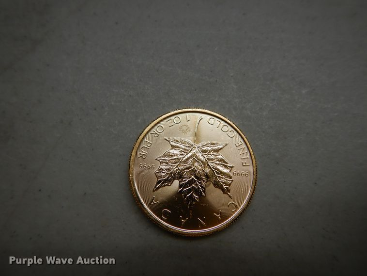 image for item KS9865 (3) 2017 Canadian $50 one ounce fine gold coins