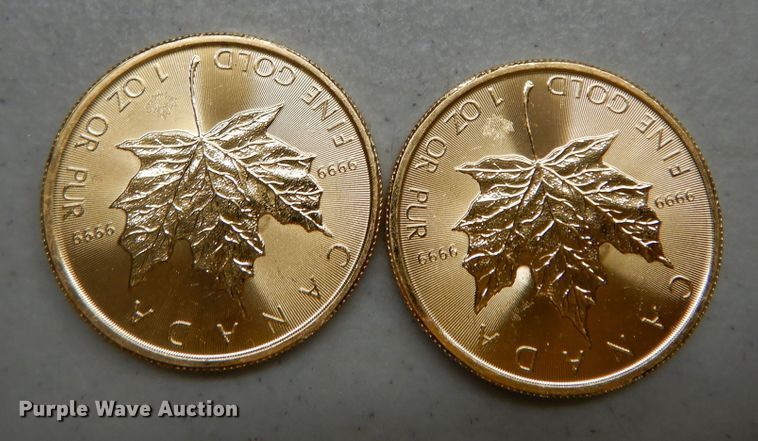 image for item KS9866 (2) 2017 Canadian $50 one ounce fine gold coins