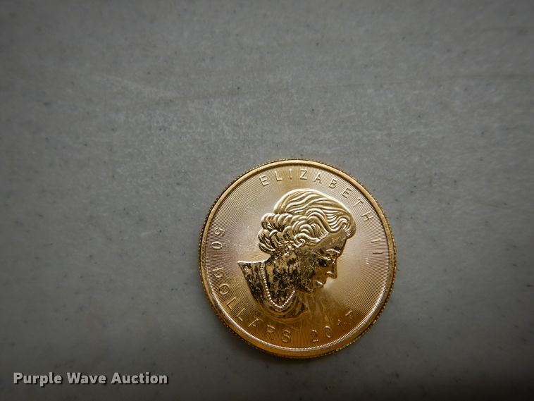 image for item KS9866 (2) 2017 Canadian $50 one ounce fine gold coins