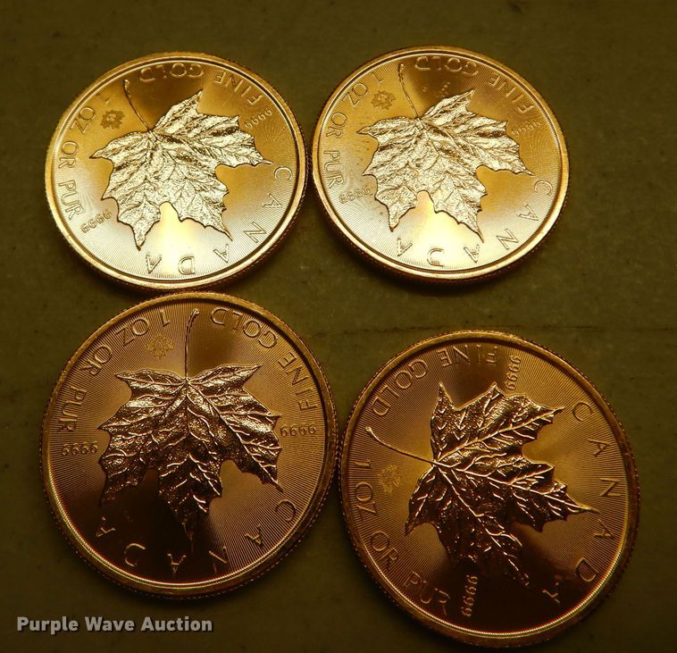 image for item KS9869 (4) 2018 Canadian $50 one ounce fine gold coins