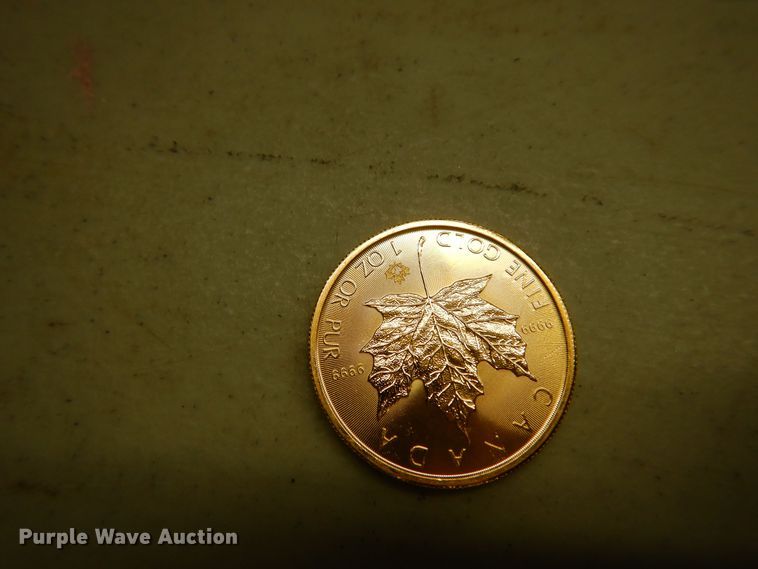 image for item KS9869 (4) 2018 Canadian $50 one ounce fine gold coins