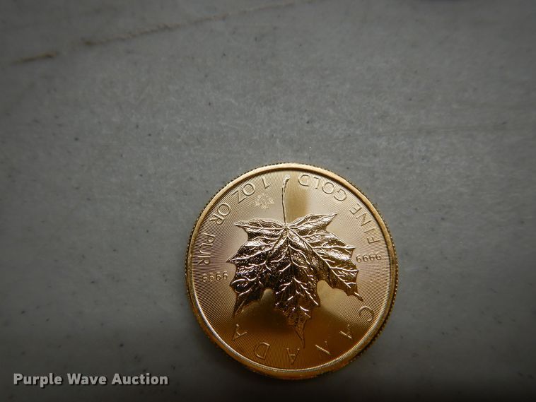 image for item KS9870 (4) 2018 Canadian $50 one ounce fine gold coins