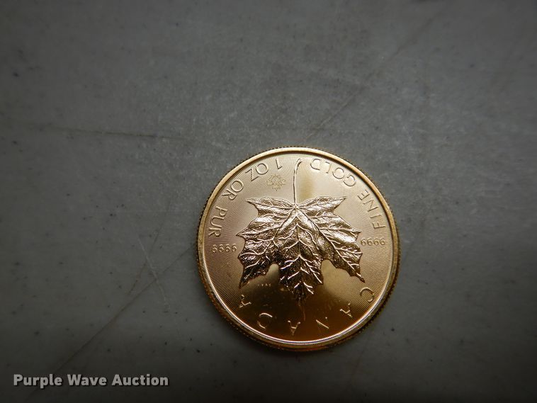 image for item KS9872 (4) 2018 Canadian $50 one ounce fine gold coins