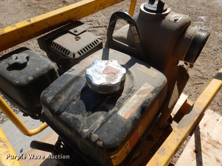 image for item MU9729 (2) water pumps