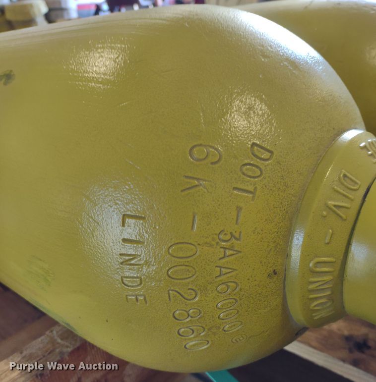 image for item LY9111 (3) air tanks