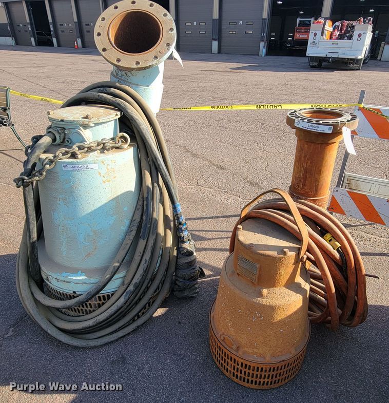 image for item LO9229 (2) pumps