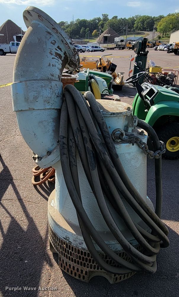 image for item LO9229 (2) pumps