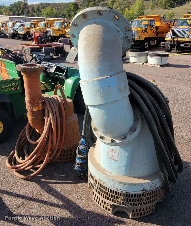 image for item LO9229 (2) pumps