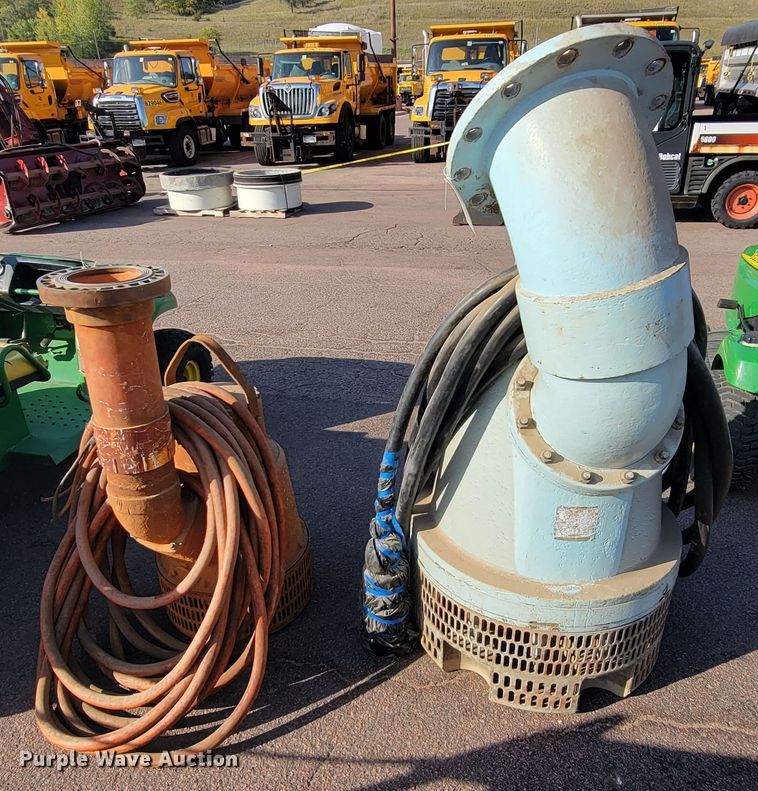 image for item LO9229 (2) pumps