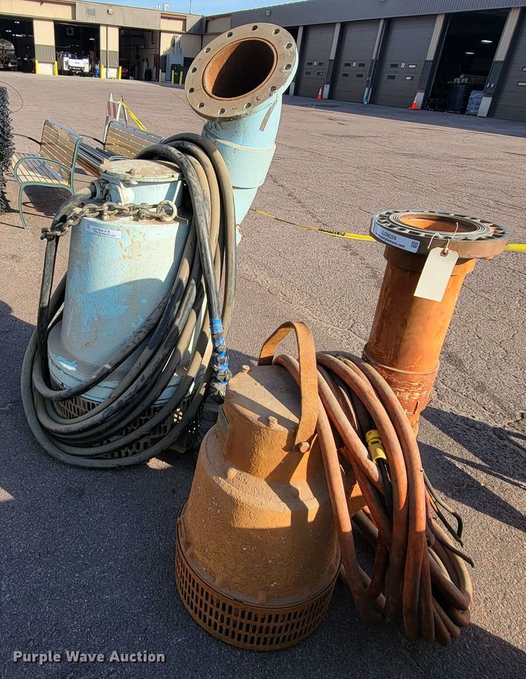 image for item LO9229 (2) pumps