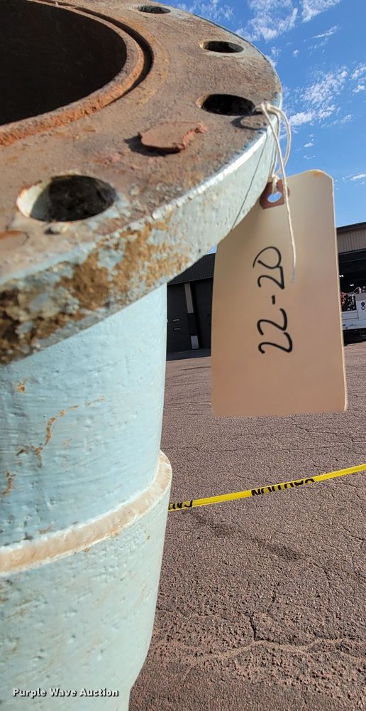 image for item LO9229 (2) pumps