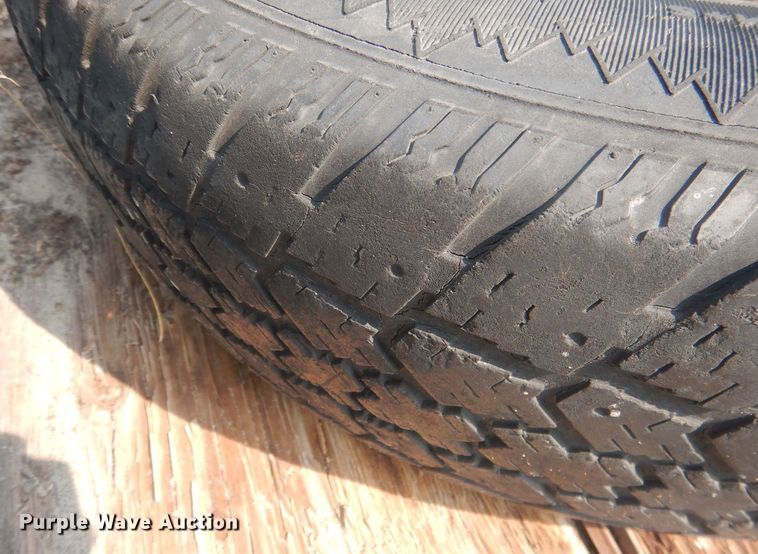 image for item HQ9515 Livestock loading chute