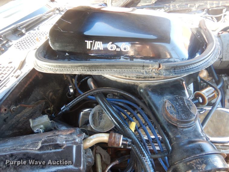 image for item JY9675 1978 Pontiac Trans Am