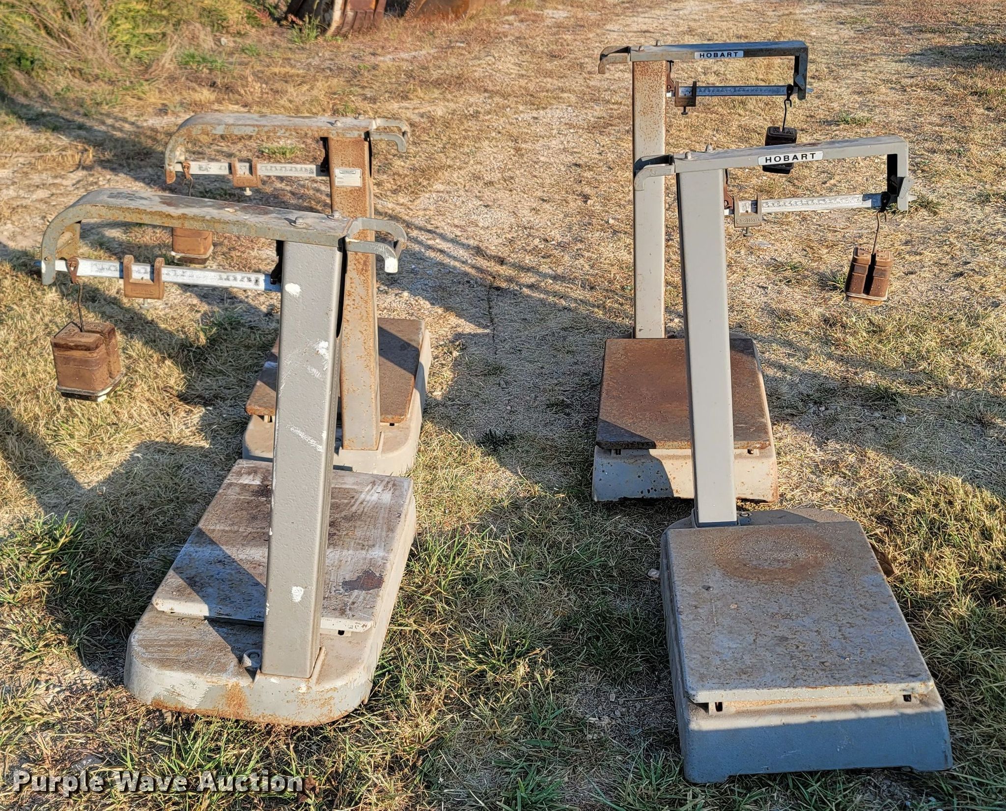 (4) Hobart 413132 scales in Holiday Island, AR Item LN9656 sold