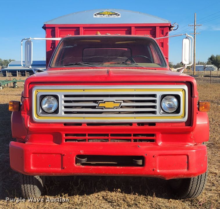 image for item LG9300 1974 Chevrolet C65  grain truck