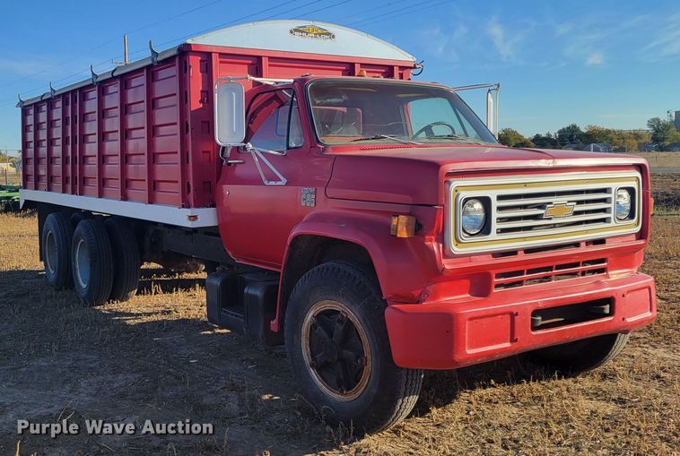 image for item LG9300 1974 Chevrolet C65  grain truck