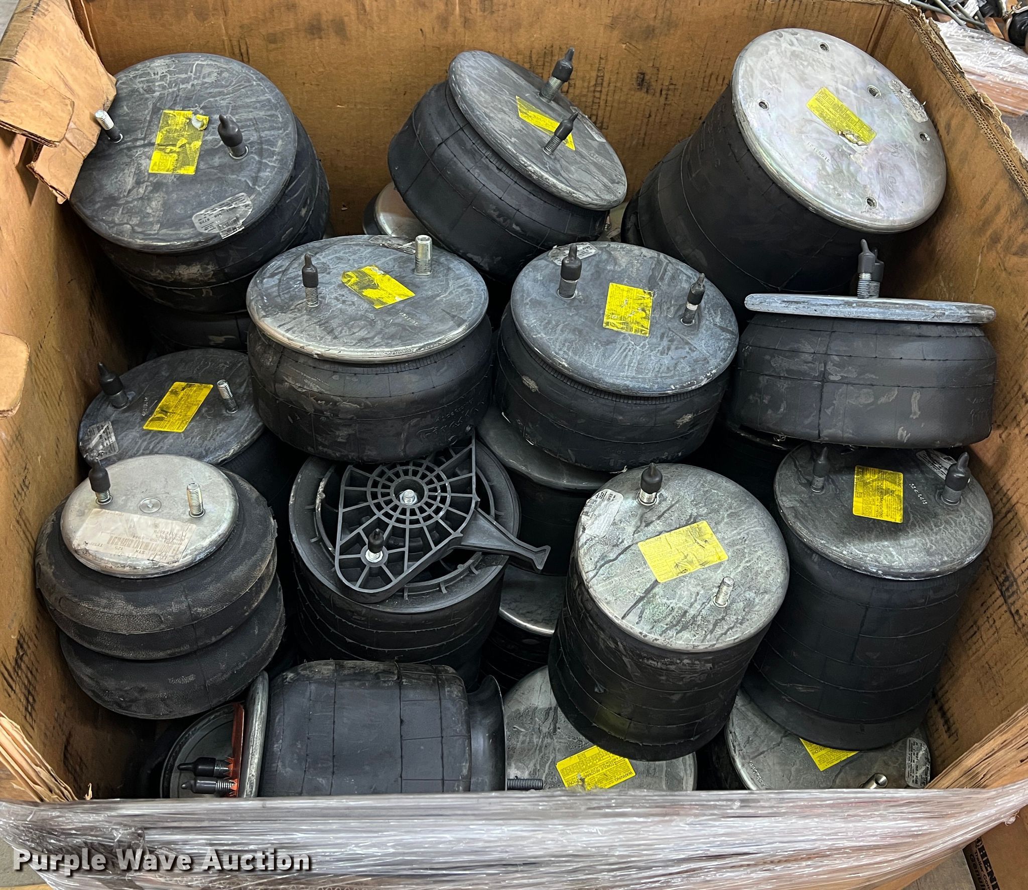 Suspension air bags in Joplin, MO Item HX9987 sold Purple Wave