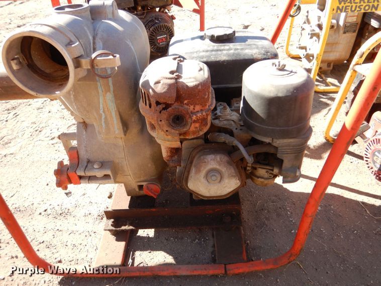 image for item LU9677 (5) pumps