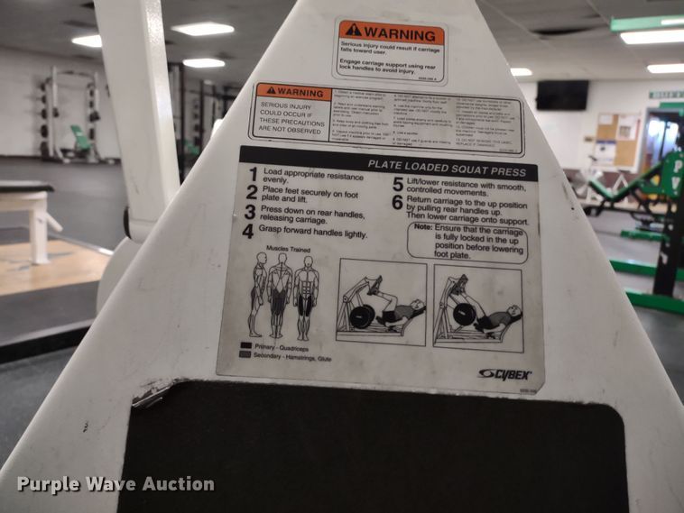 image for item LY9230 Cybex  leg press