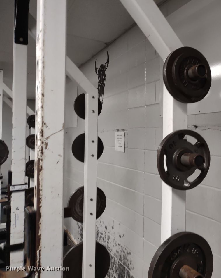 image for item LY9235 Samson  power rack