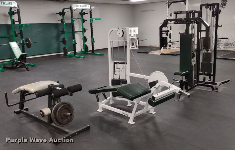 image for item LY9237 Weight lifting machines