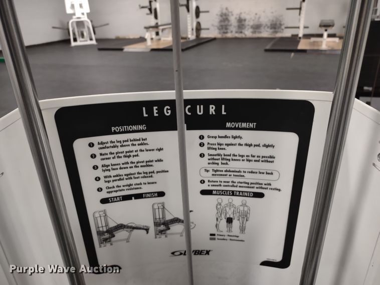 image for item LY9237 Weight lifting machines