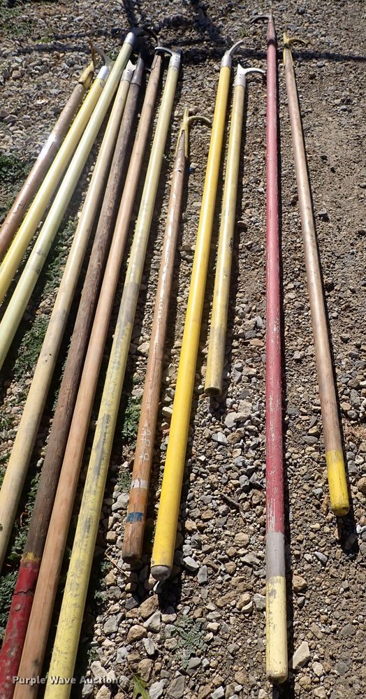 image for item MA9737 (12) pike poles