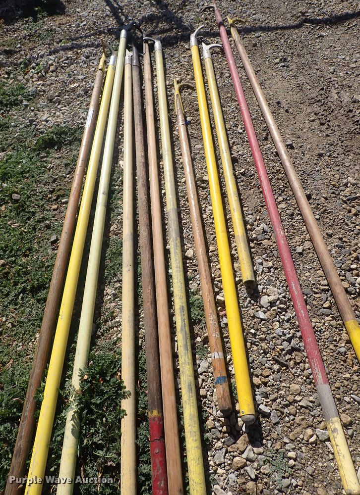 image for item MA9737 (12) pike poles