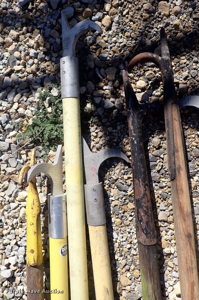 image for item MA9737 (12) pike poles