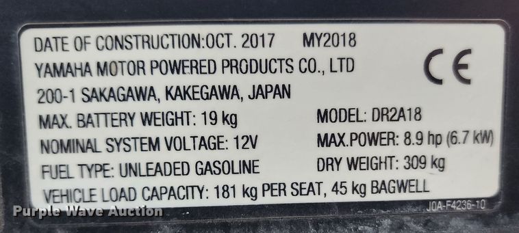 image for item DM4859 2018 Yamaha DR2A18  golf cart