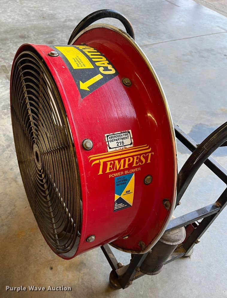 image for item DR7295 (2) fans