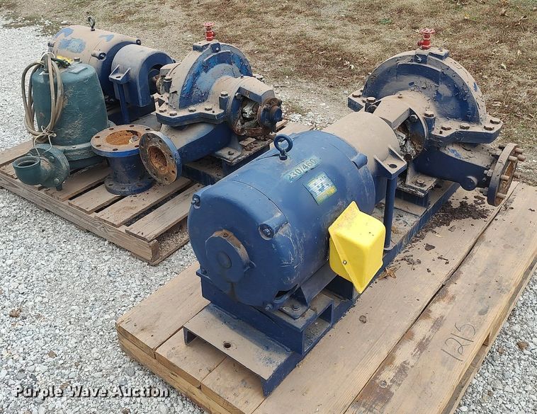 image for item KI9965 (3) pumps