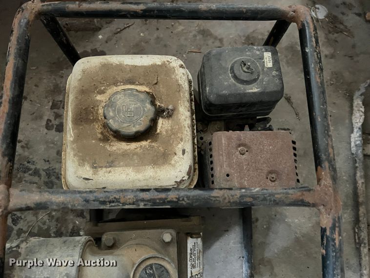 image for item MS9029 (6) pumps