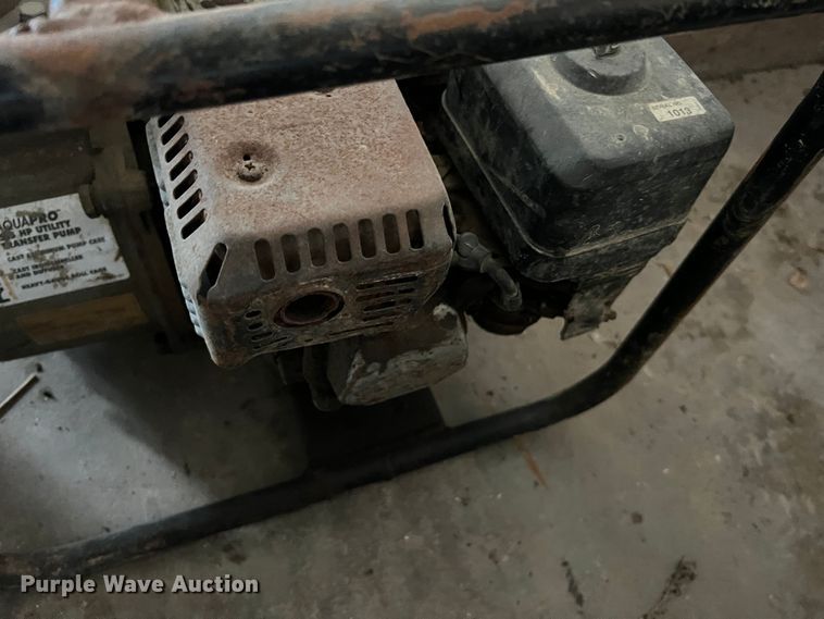 image for item MS9029 (6) pumps