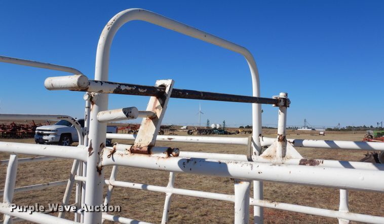 image for item LN9794 Paul Scale 305 3000  livestock scale