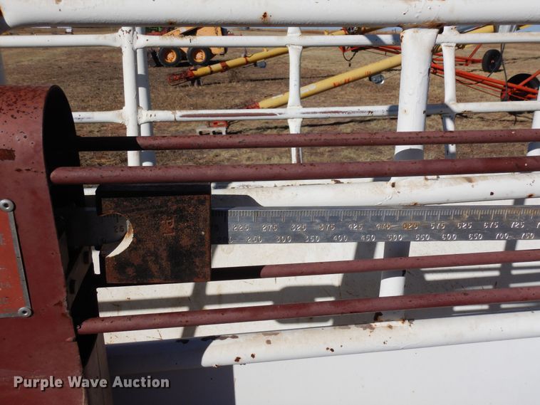 image for item LN9794 Paul Scale 305 3000  livestock scale