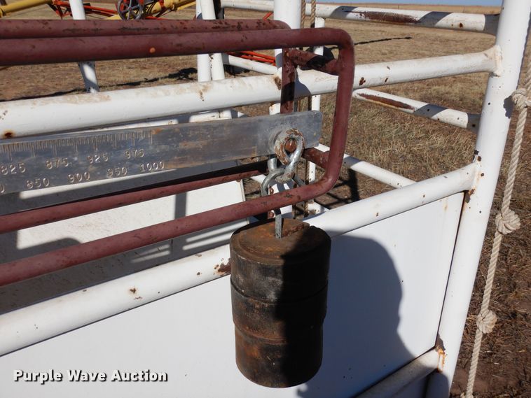 image for item LN9794 Paul Scale 305 3000  livestock scale